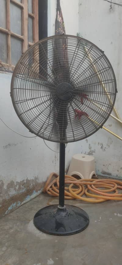 Royal Old Fan
