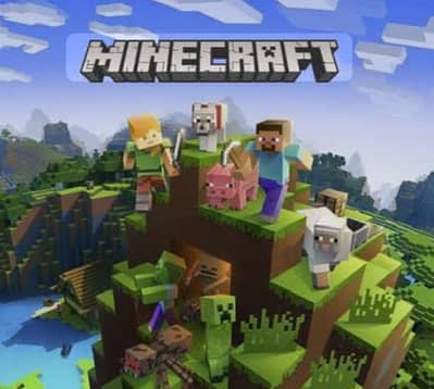 Minecraft Professional 3 Years Old SMP World For Sale