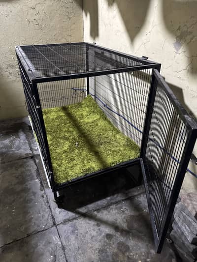 Animal Cage
