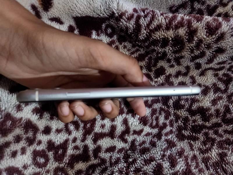 iphone 11 6