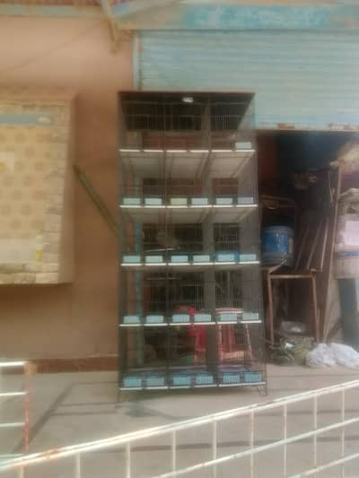 5 star company ka cage 22000