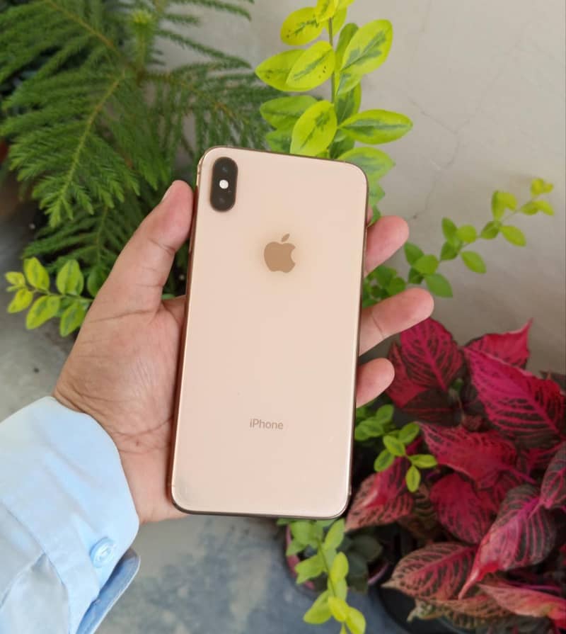XS Max 5