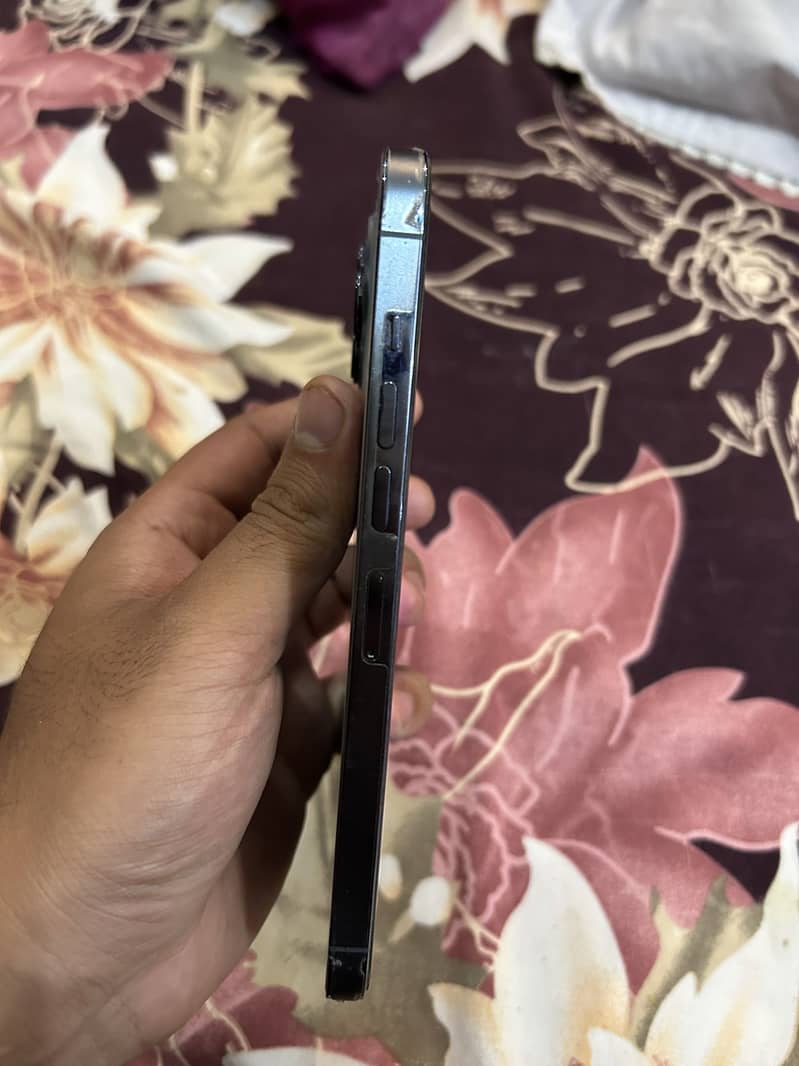 13 pro max 3