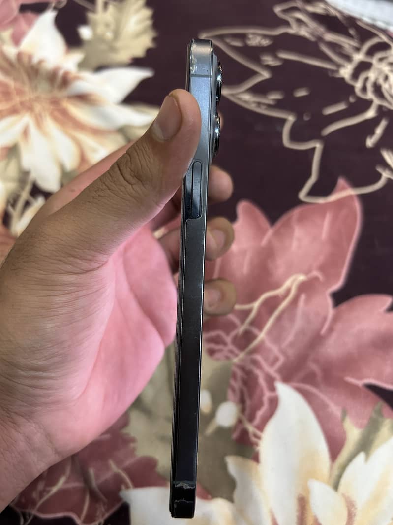 13 pro max 4