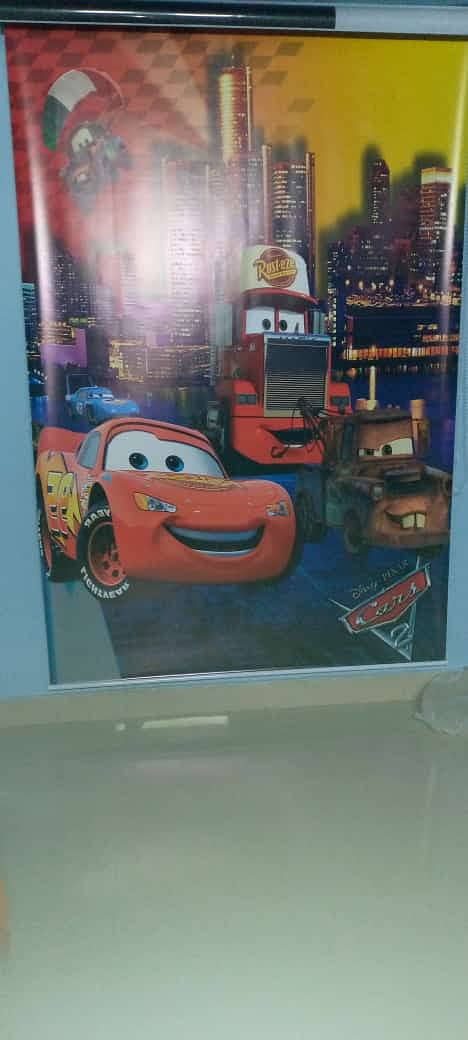 Customized Wallpaper & Printed Window Blinds 18
