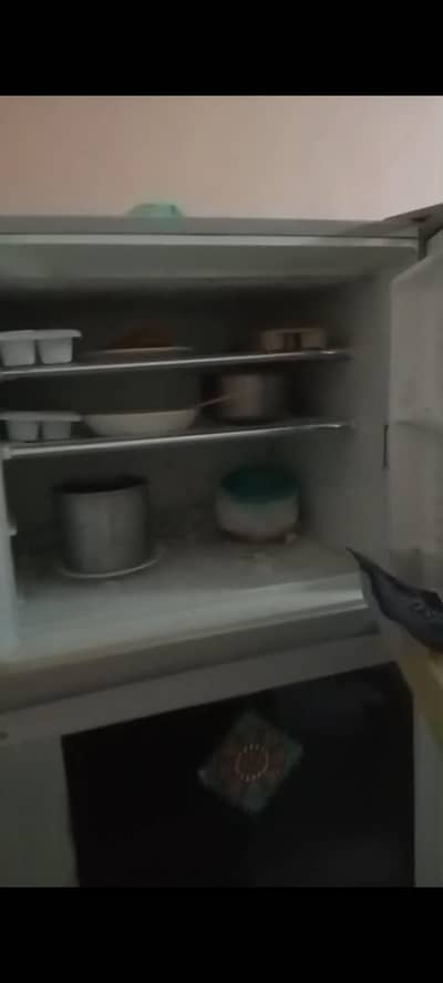 furnished condition refrigerator sell due to purchase invertor