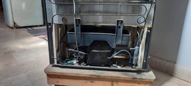 dalwanc fridge like new