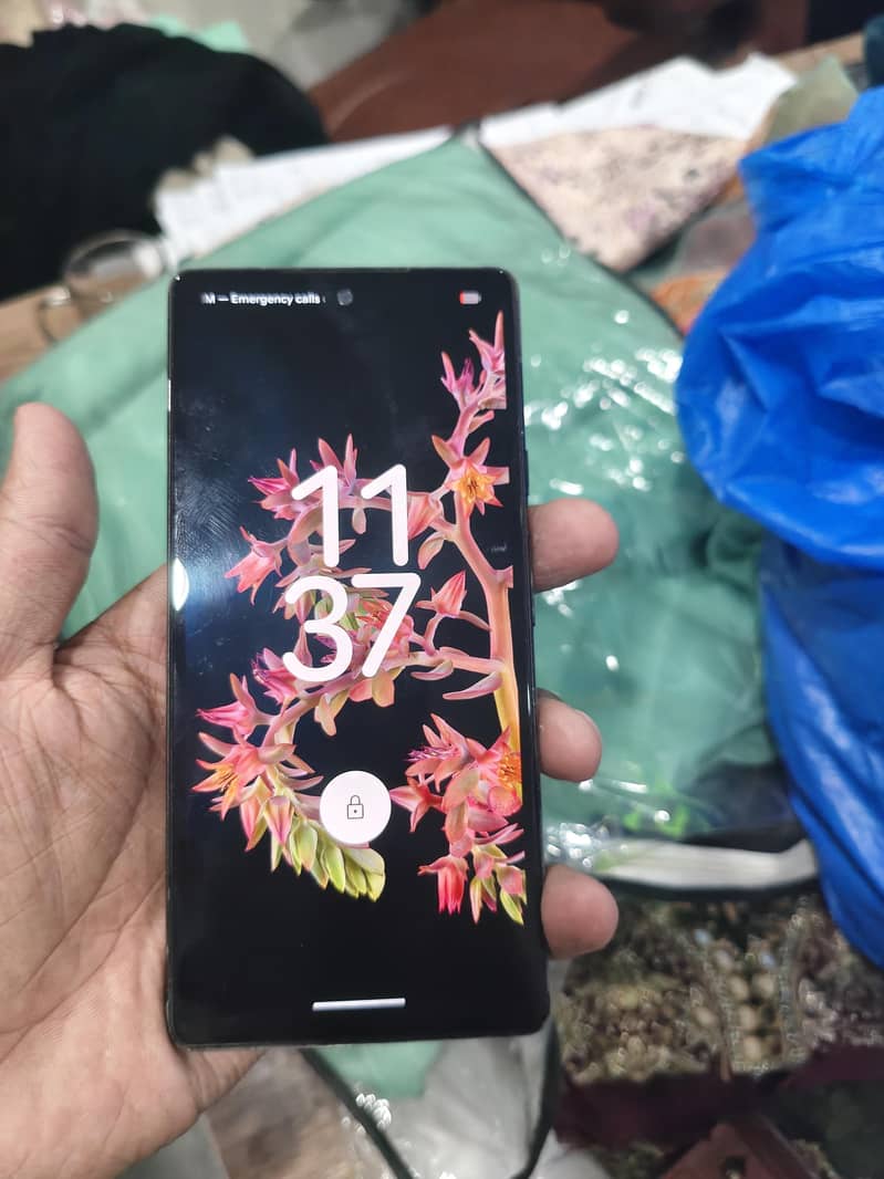 pixel 6 hai 0