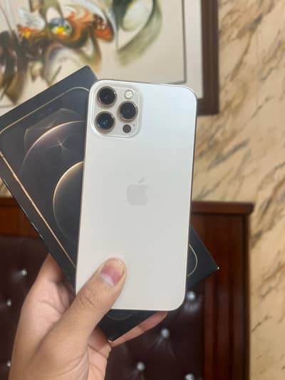 iphone 12 pro max PTA approved