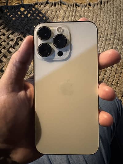 iPhone 13 Pro 1TB