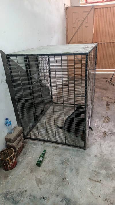 DOG CAGE