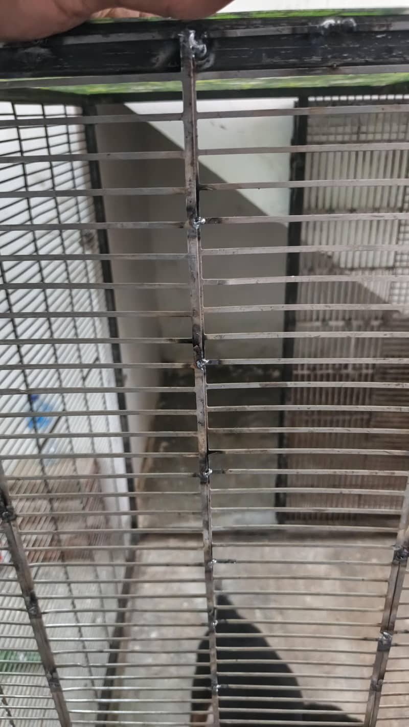 DOG CAGE 1