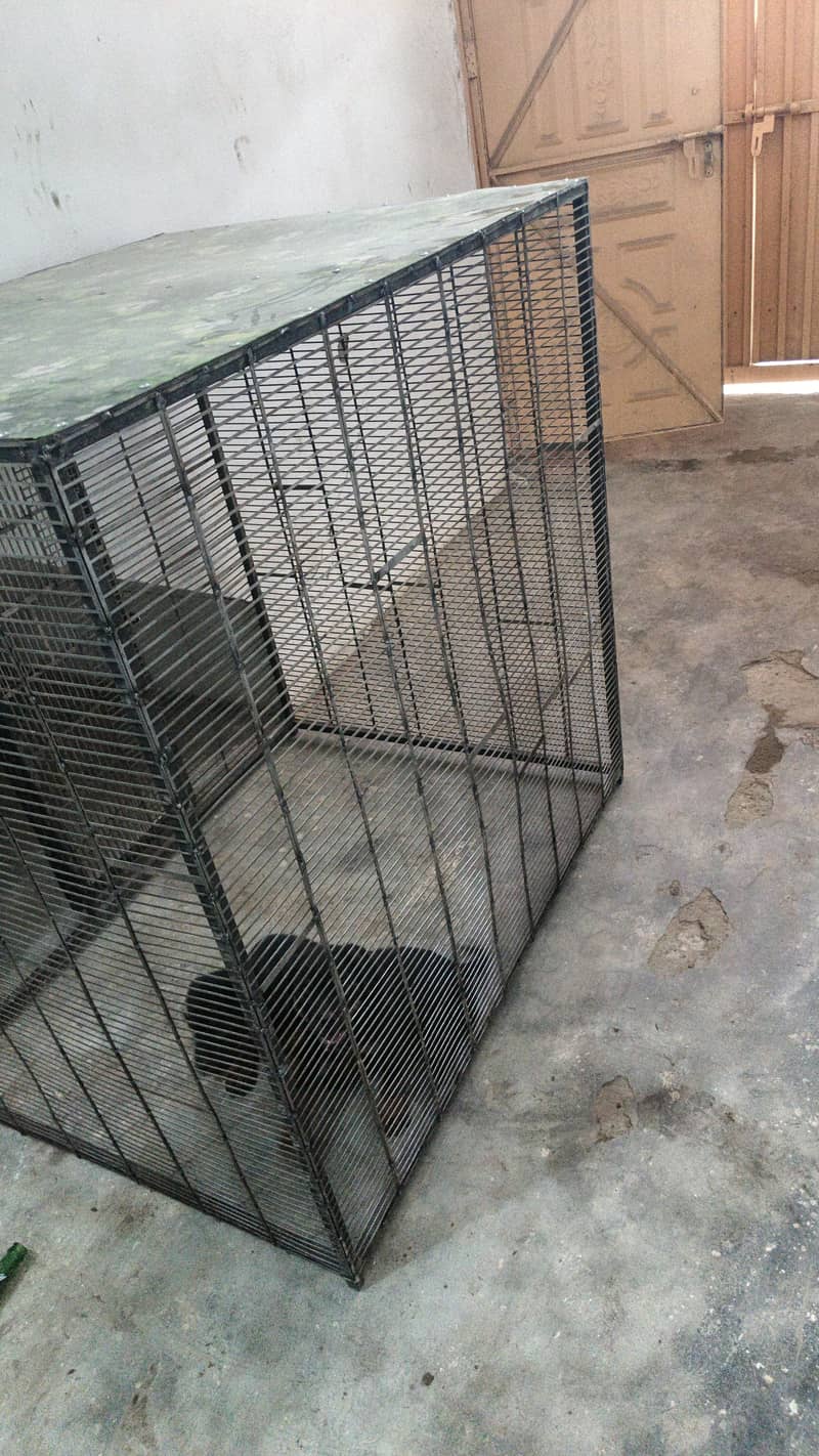 DOG CAGE 4