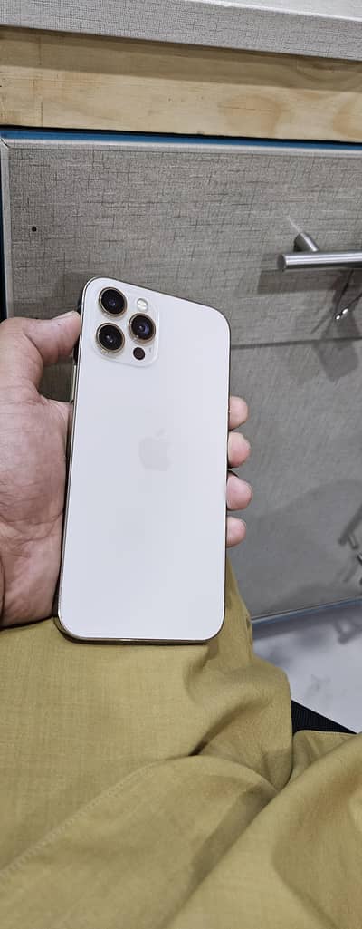 Iphone12promax