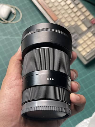 Sigma 30mm f1.4 Lens crop body