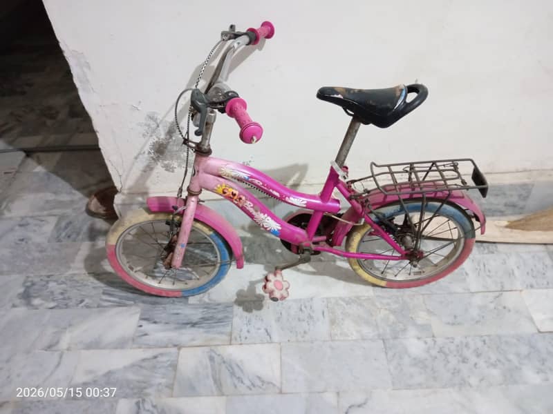Kids cycle 2
