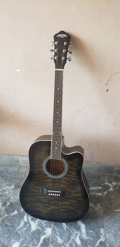 Acoustic guitar