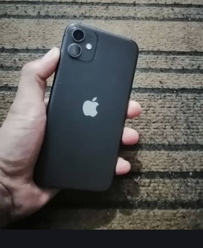 10bye 10 codashan 1
