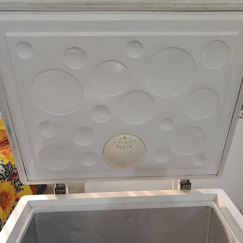 single door freezer 1