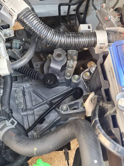 Alto vxr 2025