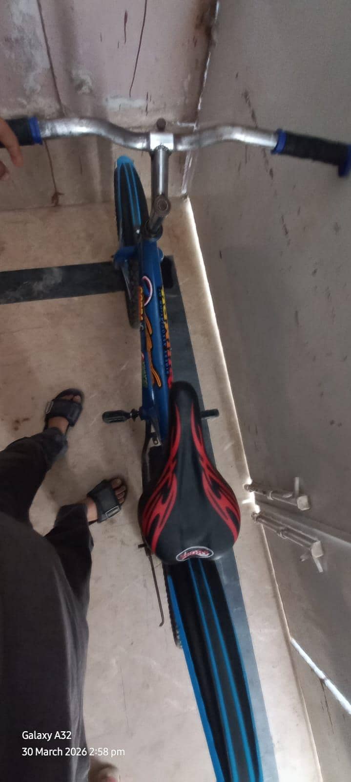 bicycle 8