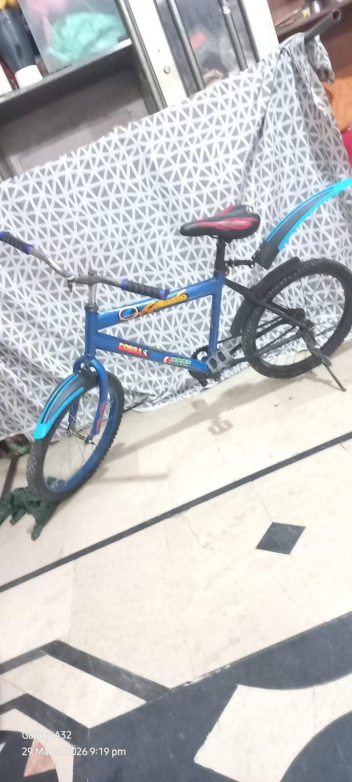bicycle 9