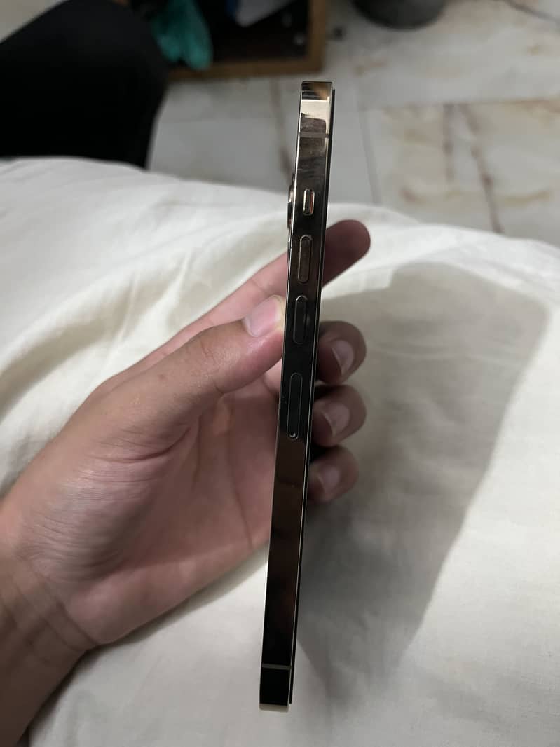 Iphone 13 pro max 2