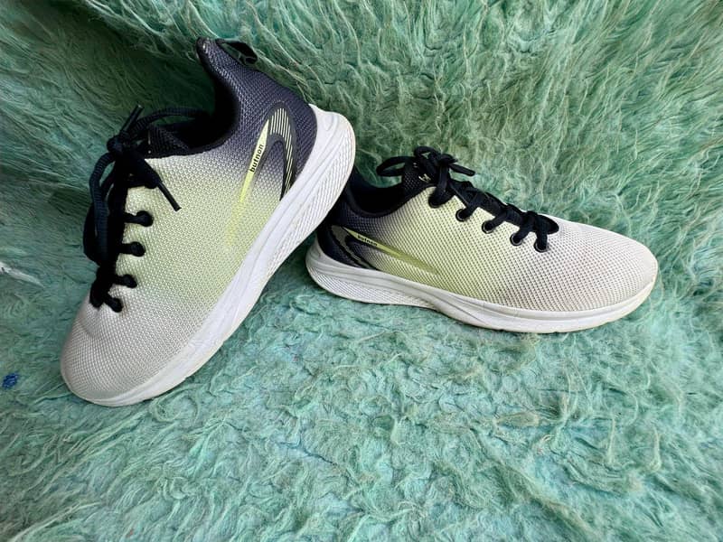export shoes 11