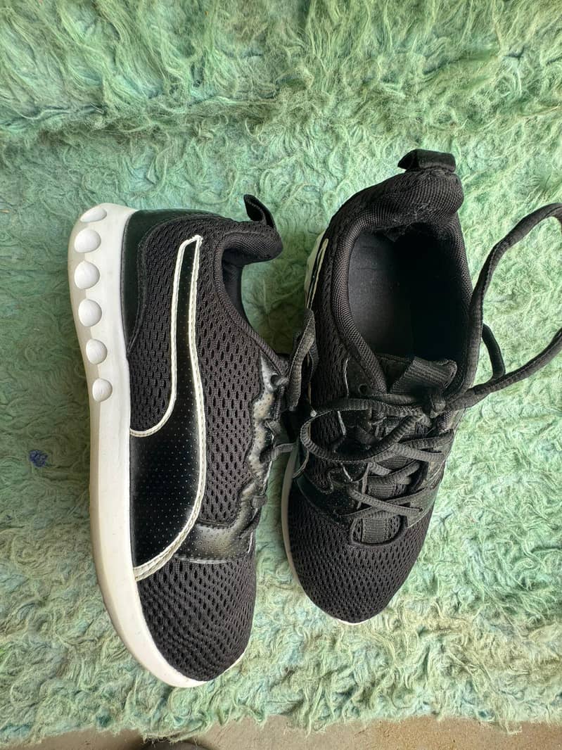 export shoes 15