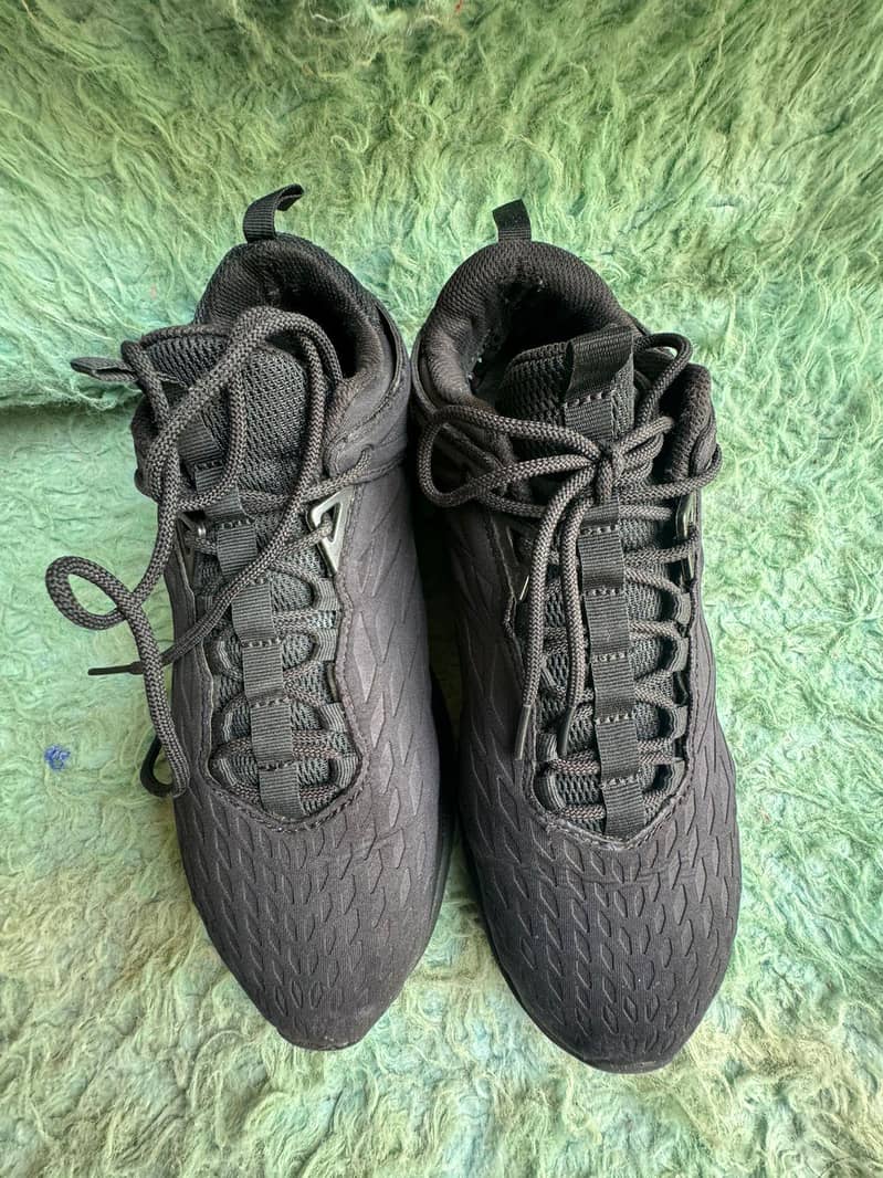 export shoes 17
