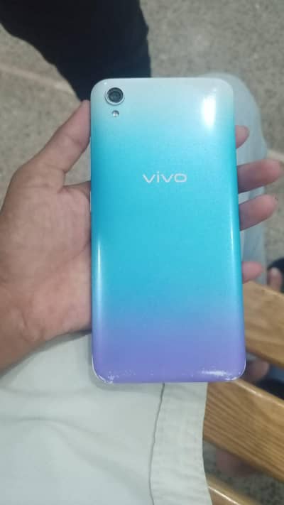 Vivo_2015