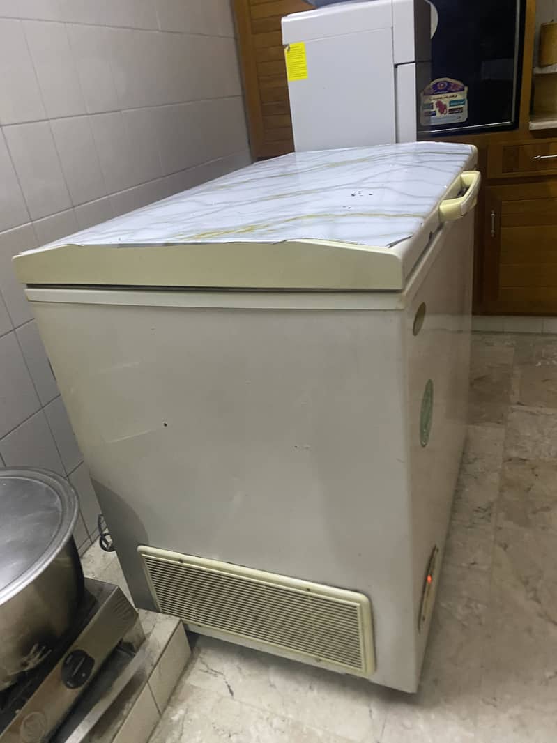 Waves Deep Freezer WF210 1