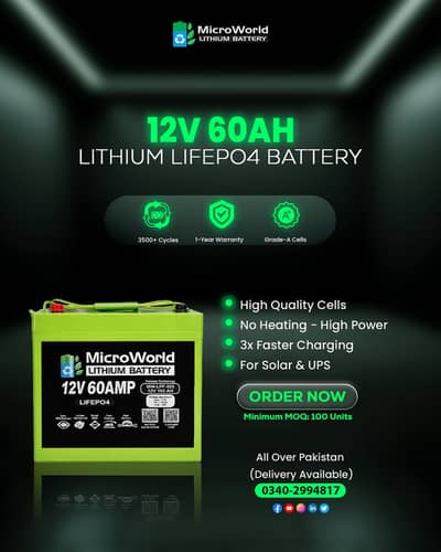Lithium LiFePO4 Battery