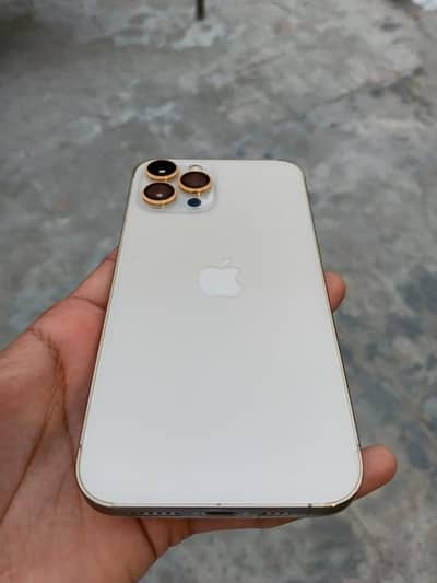 iphone 12 pro max pta