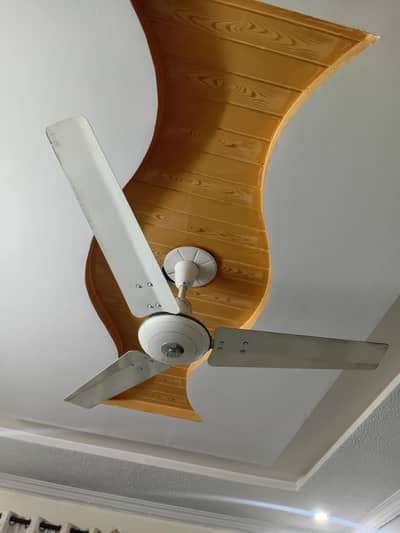 ceiling fan Royal