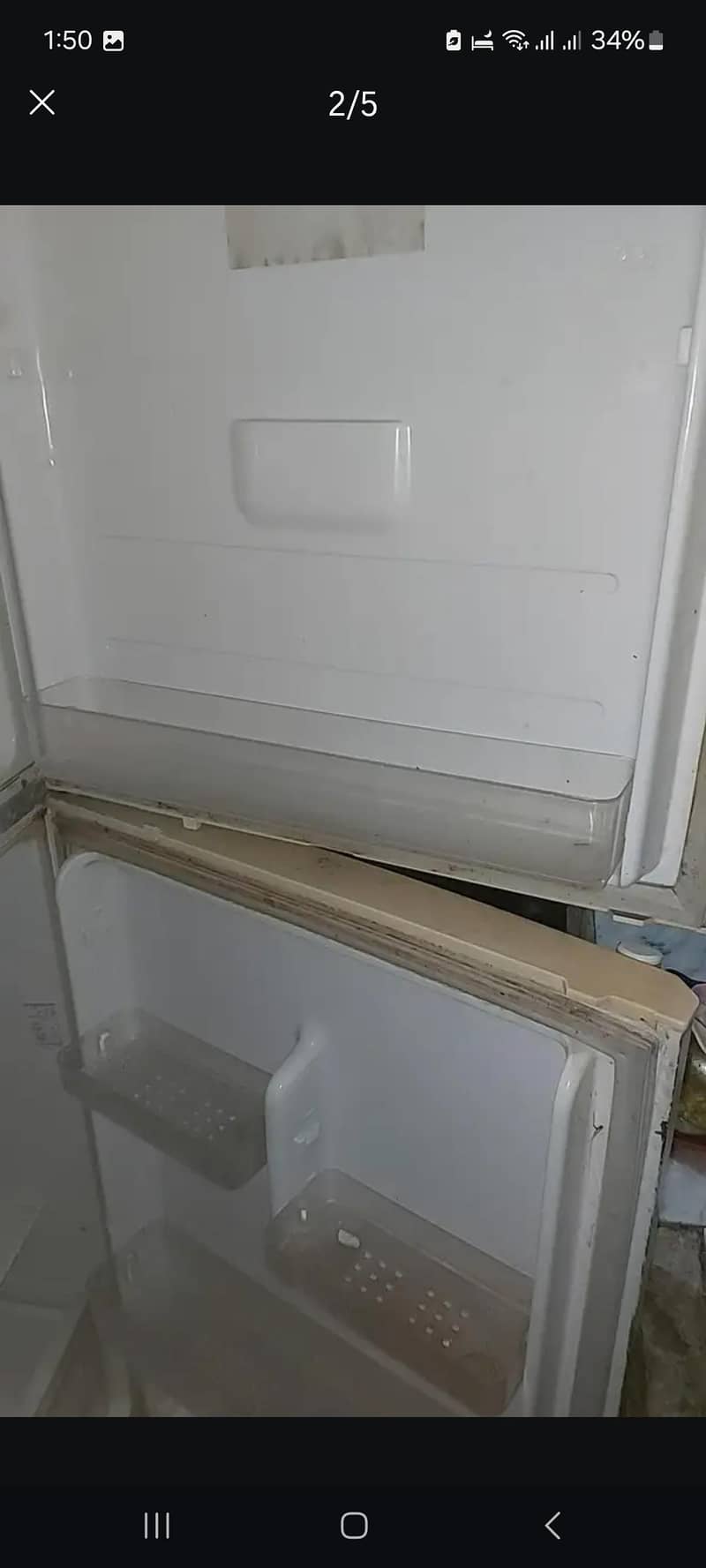 fridg 1