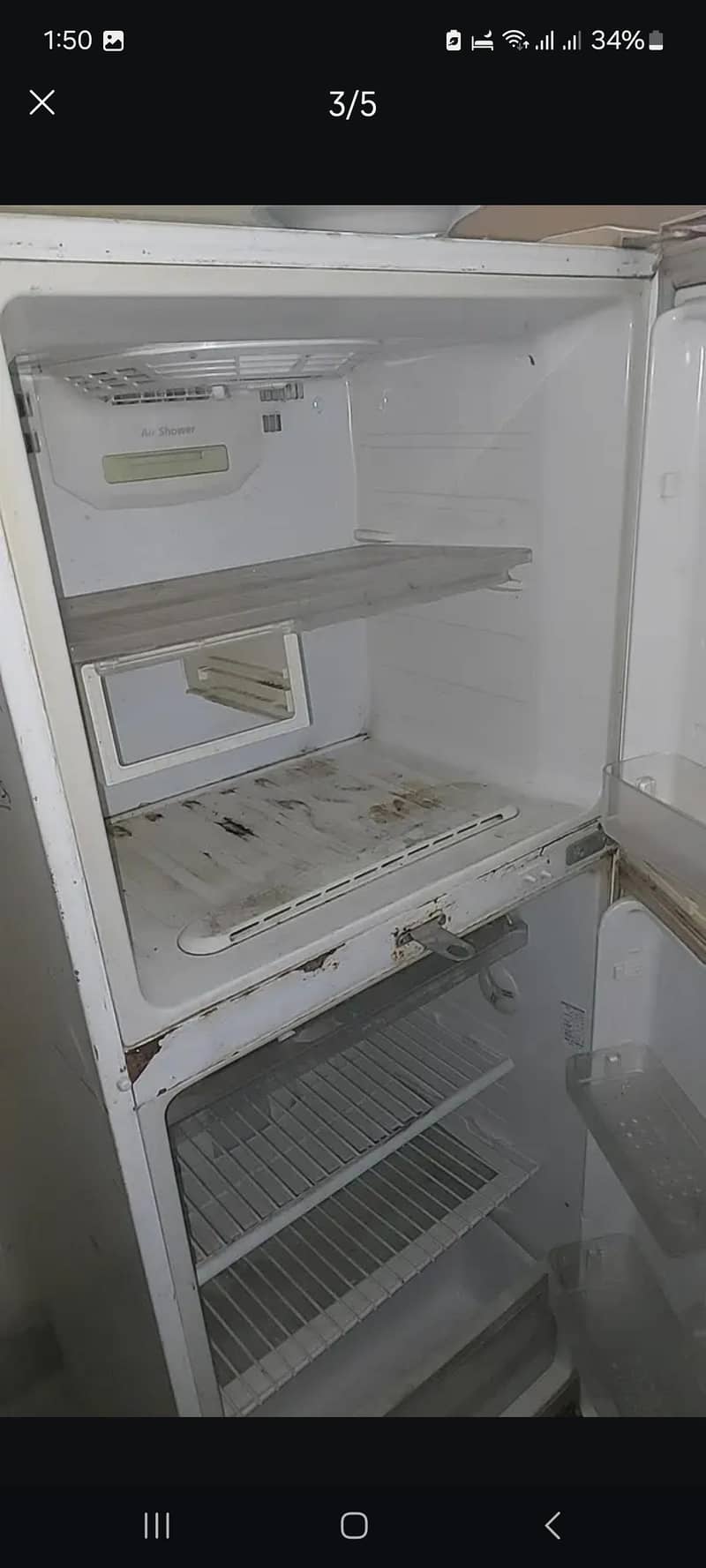fridg 2