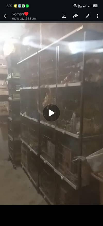 cages