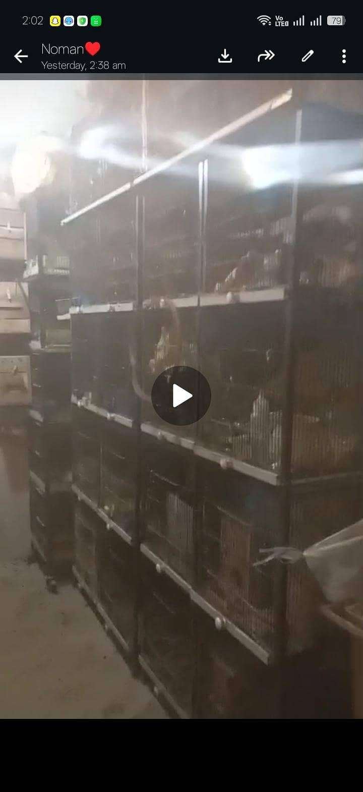 cages 0