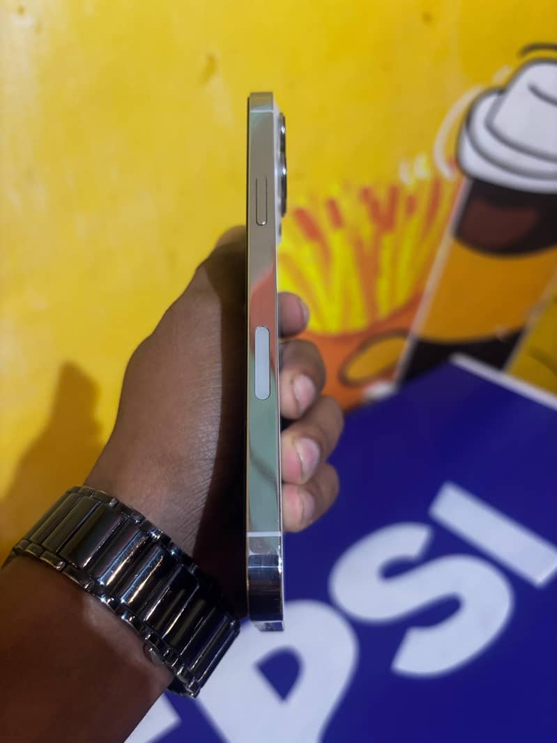 iphone 13 pro max 1