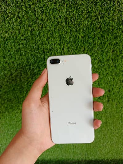 iphone 8 plus pta approved