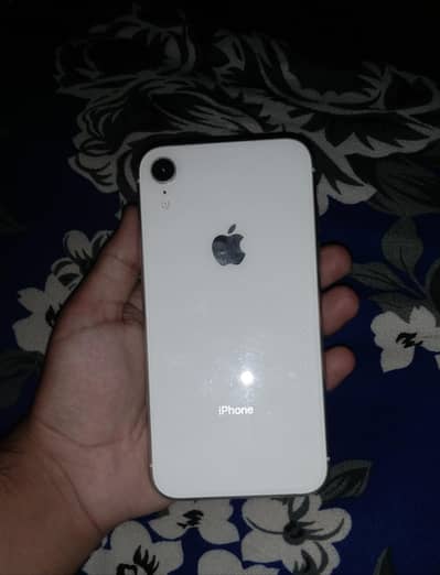 iPhone XR
