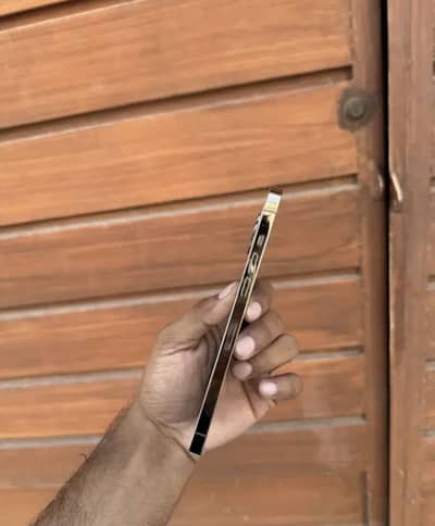 12 pro max 128 pta