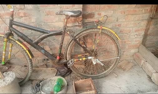 aoa 26 ki cycle hai for sel