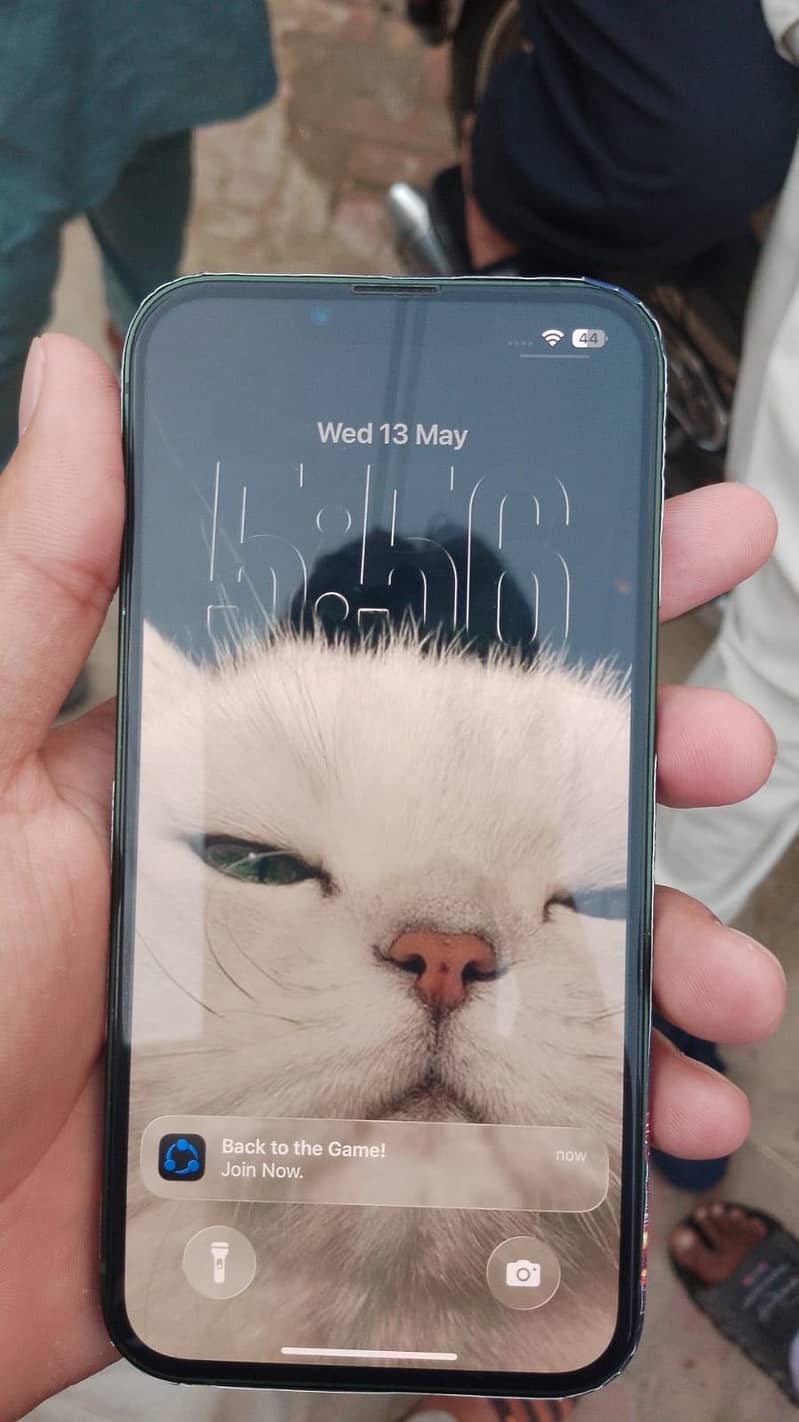 iPhone 13 0