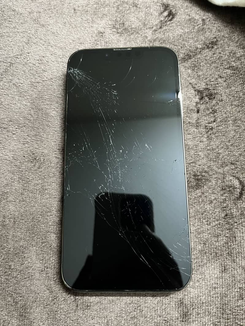 IPhone 13 Pro 1