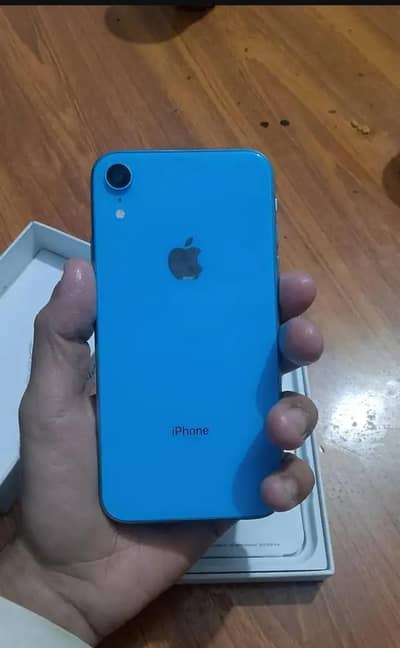 iphone XR board dead