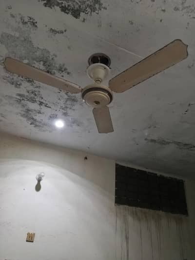 celling fan