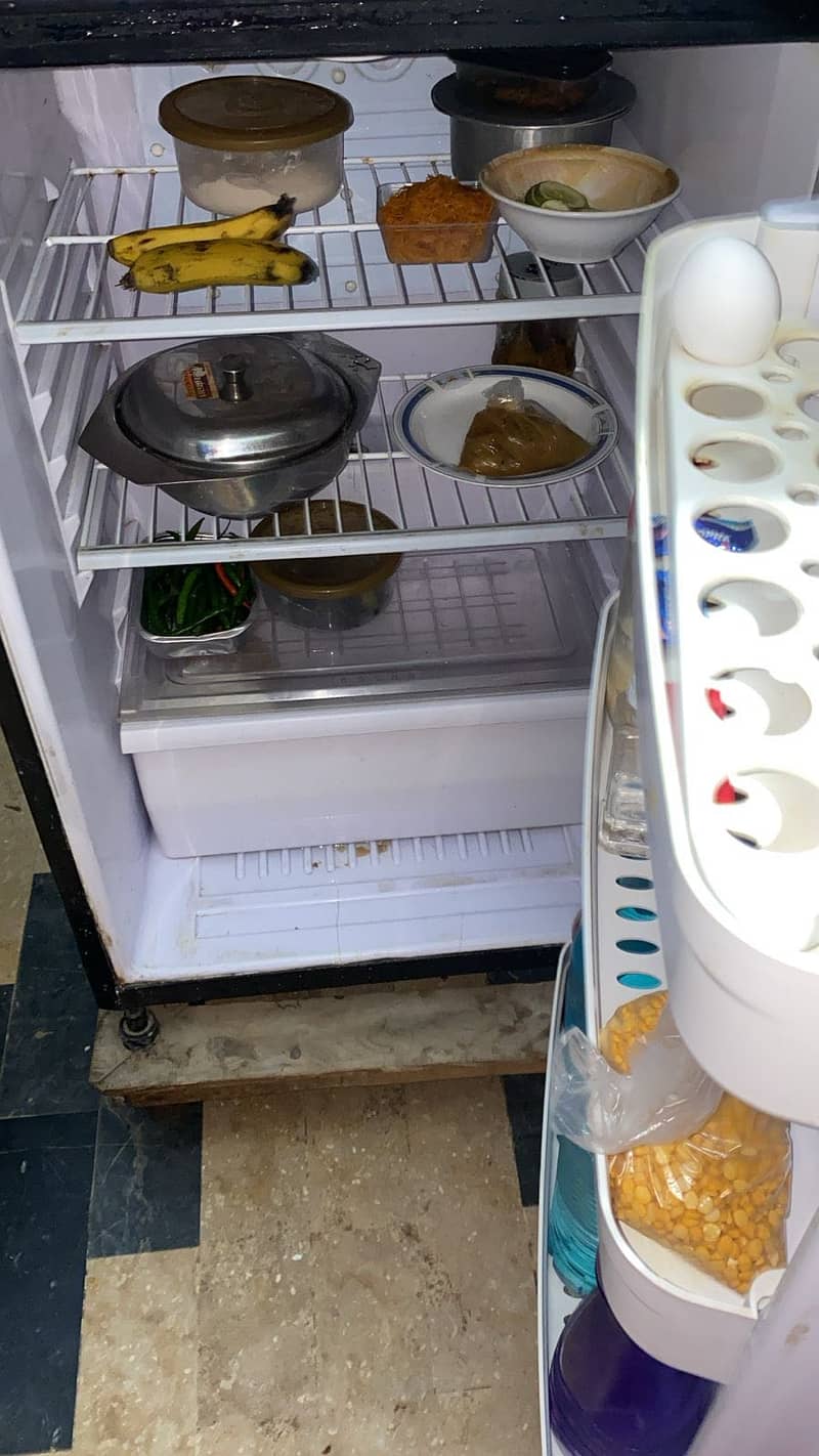 Waves fridge 1
