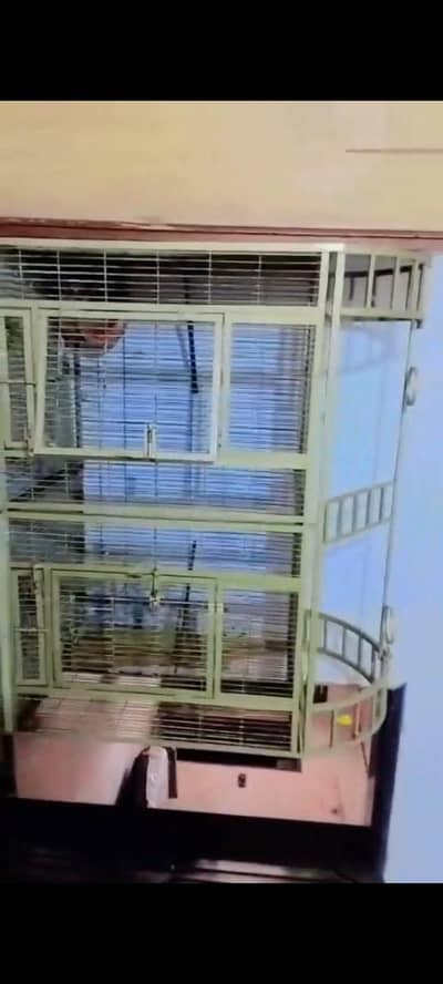 parrot cage for sale